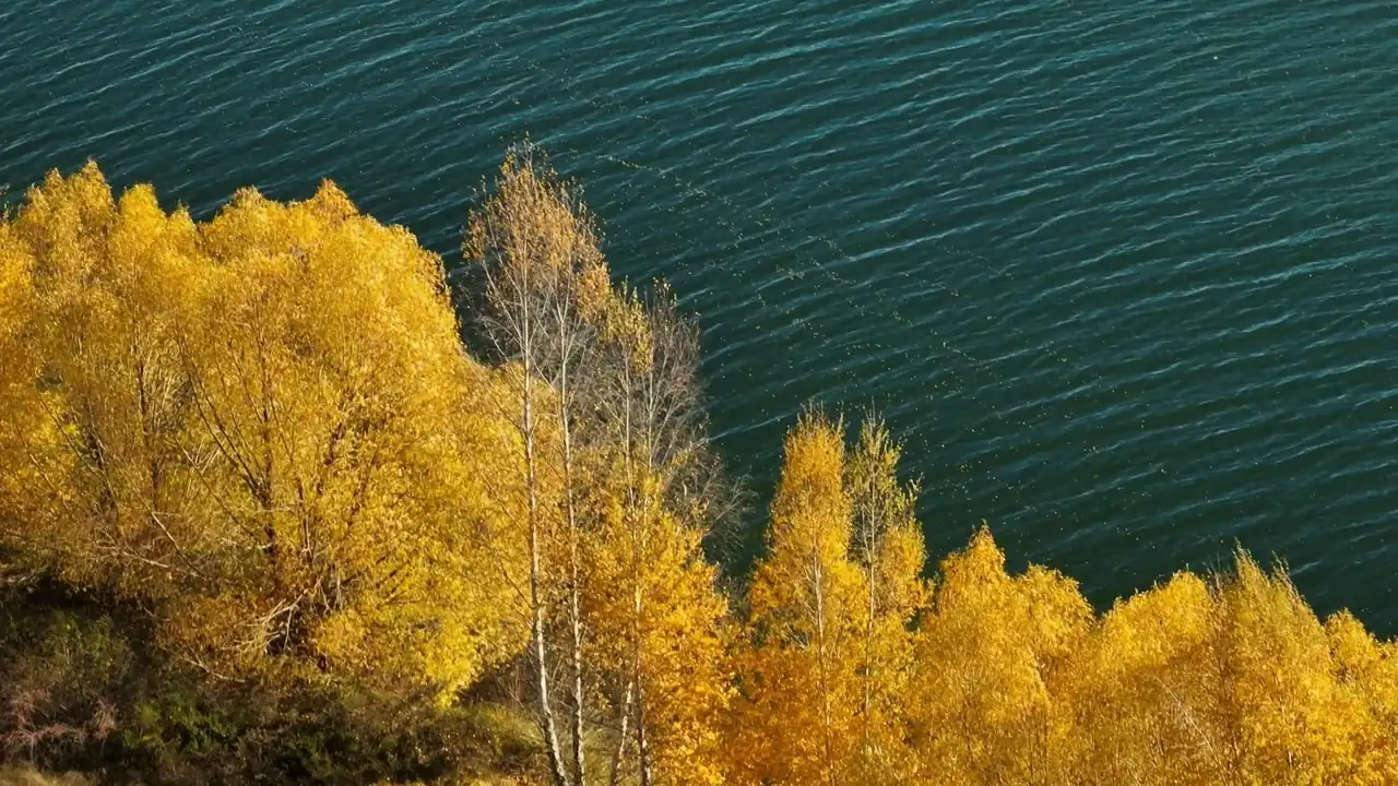 Private tours in Belgium: lake and autumn forest